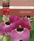 Orkider