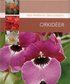 Orkid�er