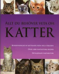Allt du beh�ver veta om katter (inbunden)