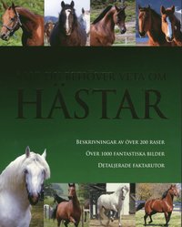 Allt du beh�ver veta om h�star (inbunden)