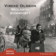 Molnfri bombnatt (ljudbok)