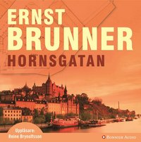Hornsgatan (ljudbok)