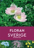 Floran i Sverige & Nordeuropa