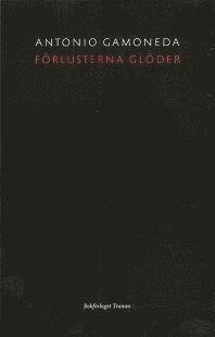 F�rlusterna gl�der (h�ftad)