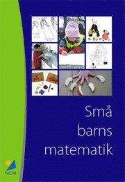 Små barns matematik : erfarenheter från ett pilotprojekt med barn 1 - 5 år och deras lärare