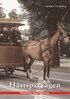 H�stsp�rv�gen i G�teborg : en historik �ver h�stsp�rv�gsepoken �ren 1879 till 1902