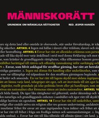 M�nniskor�tt : grundbok om m�nskliga r�ttigheter (h�ftad)