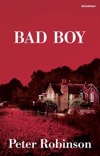 Bad boy (inbunden)