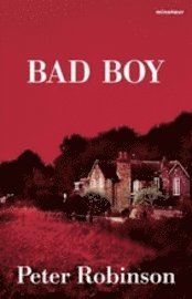 Bad boy (kartonnage)