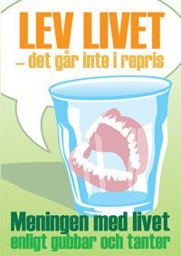 Lev livet - det g�r inte i repris (h�ftad)