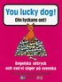 You lucky dog. Din lyckans ost : Engelska uttryck och vad vi s�ger p� svens
