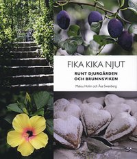 Fika, kika, njut : runt Djurg�rden och Brunnsviken (inbunden)