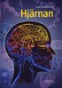 Hj�rnan