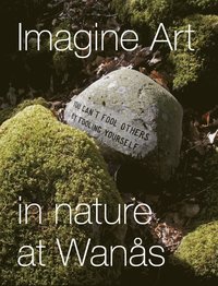 Imagine Art : in nature at Wans