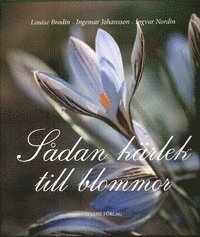 S�dan k�rlek till blommor (h�ftad)