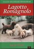 Lagotto romagnolo : italiens krullpälsade tryffelsökare