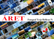 �ret : en bild - ett �gonblick - varje dag hela �ret : uppgiften - resultatet (inbunden)