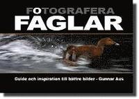 Fotografera f�glar : guide och inspiration till b�ttre bilder (inbunden)