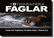 Fotografera f�glar : guide och inspiration till b�ttre bilder (inbunden)