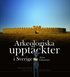Arkeologiska uppt�ckter i Sverige