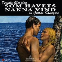 Som havets nakna vind (ljudbok)