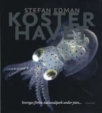 Kosterhavet : sveriges f�rsta nationalpark under ytan (inbunden)