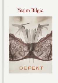 Defekt (inbunden)