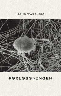 F�rlossningen (h�ftad)