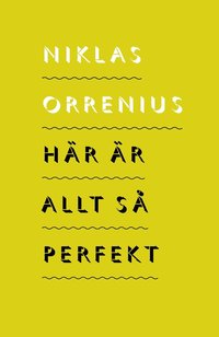 H�r �r allt s� perfekt: 23 politiska samtidsreportage (h�ftad)