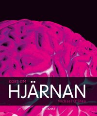 Kort om Hj�rnan (inbunden)