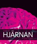 Kort om Hj�rnan