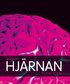 Kort om Hj�rnan