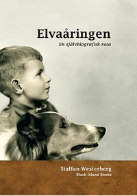 Elva�ringen (inbunden)