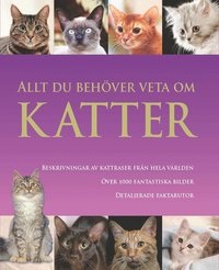 Allt du beh�ver veta om katter (inbunden)