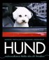 Hund - M�nniskans b�sta v�n �r bunden