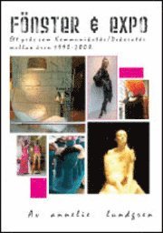 F�nster & expo : ett yrke som kommunikat�r/dekorat�r mellan �ren 1990-2008 (h�ftad)