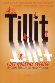 Tillit i det moderna Sverige : den dumme svensken och andra mysterier (h�ftad)