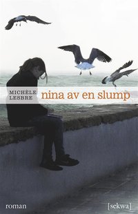 Nina av en slump (pocket)