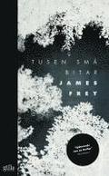 Tusen sm� bitar