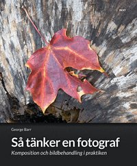 S� t�nker en fotograf : komposition och bildbehandling i praktiken (h�ftad)