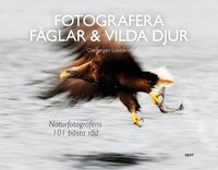 Fotografera f�glar & vilda djur : naturfotografens 101 b�sta r�d (h�ftad)