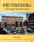 Brunkeberg och torget som f�rsvann