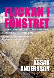 Flickan i f&ouml;nstret (storpocket)