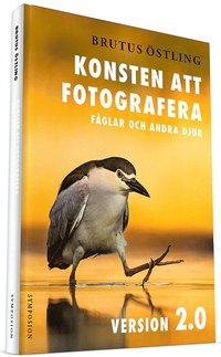 Konsten att fotografera fglar och andra djur : version 2.0
