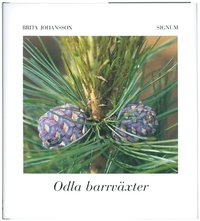 Odla barrv�xter