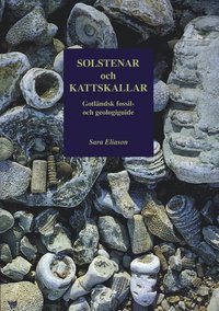 Solstenar och kattskallar. Gotl�ndsk fossil- och geologiguide (kartonnage)