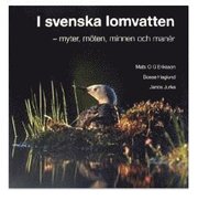 I svenska lomvatten : myter, m�ten, minnen och man�r (inbunden)