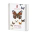 Nationalnyckeln: Fj�rilar: Dagfj�rilar (Klotband) : Hesperiidae-Nymphalidae