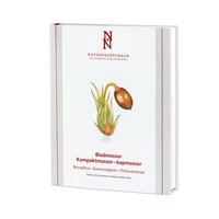 Nationalnyckeln till Sveriges flora och fauna. [AJ 24-36], Bladmossor. Kompaktmossor - kapmossor : Bryophyta : Anoectangium - Orthodontium (inbunden)