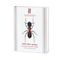 Steklar: Myror-getingar. Hymenoptera: Formicidae-Vespidae (h�ftad)